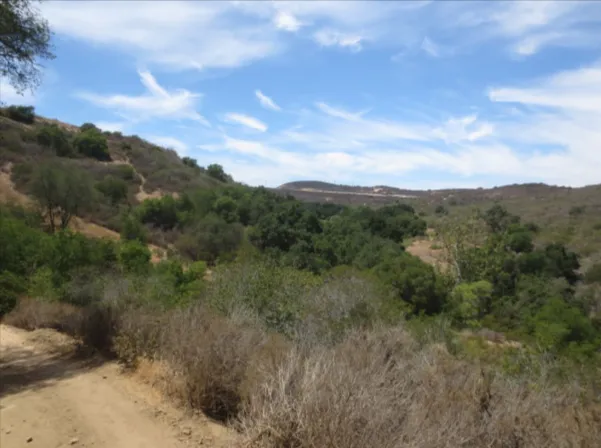 Hike at Laurel Canyon Trails