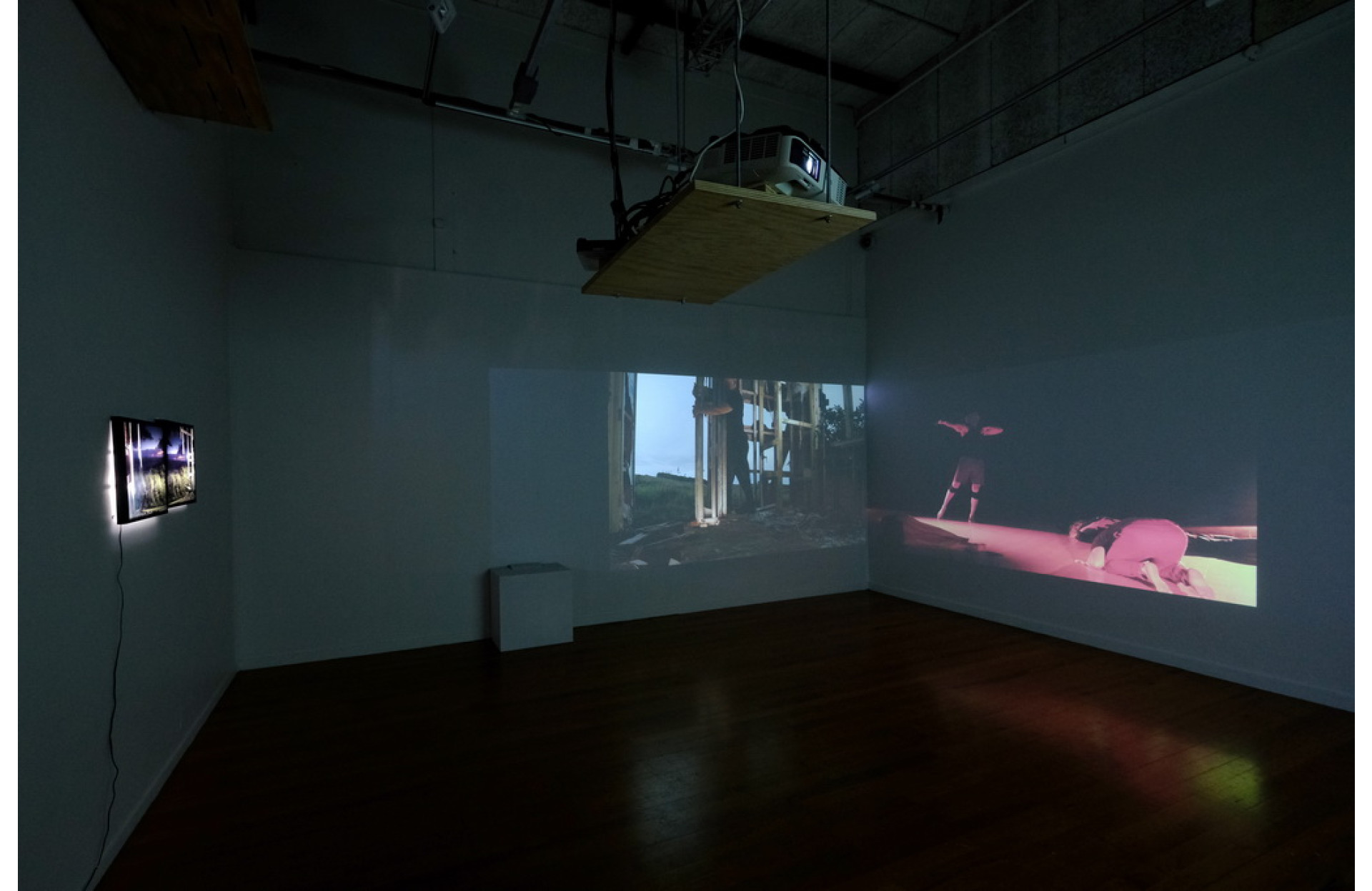 A white gallery wall displaying a series of photographic works in the exhibition “Harbinger” at Gallery One, Unitec, Auckland, including images of organic forms, human gestures, and abstracted surfaces arranged in a quiet, spatial dialogue.