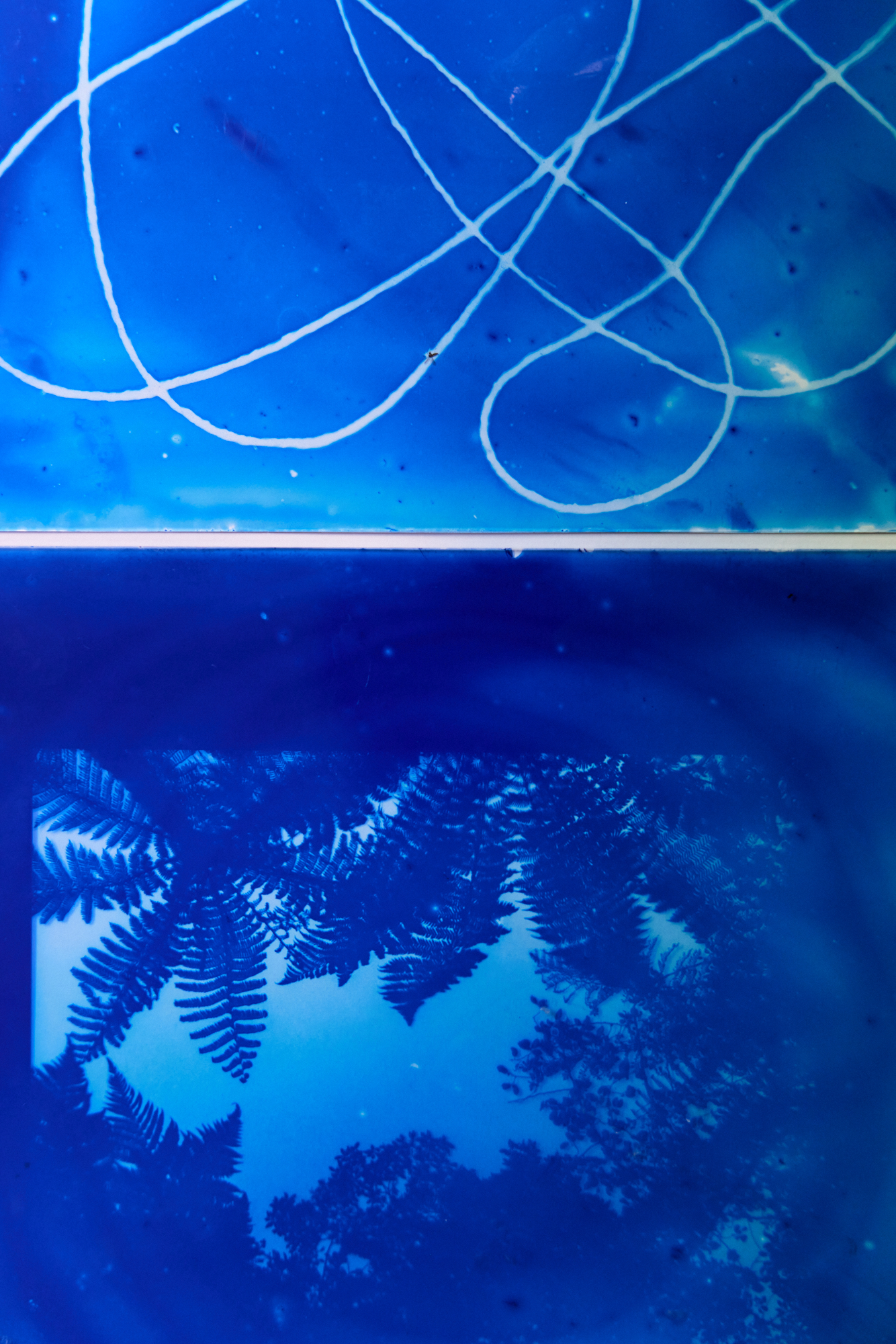 cyanotype workshop, cyanotype on glass