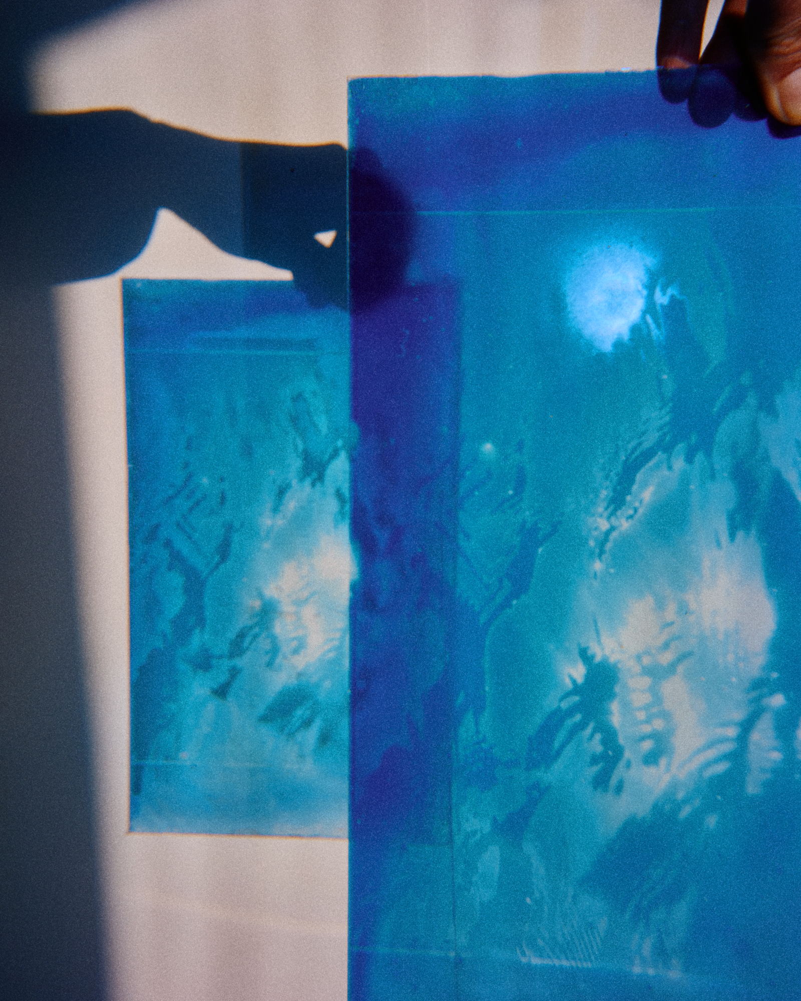Cyanotype toning book, washing soda crystals, and tea bags laid out for a private cyanotype printing lesson at Halide Studios, showing botanical toning and alternative photography processes
