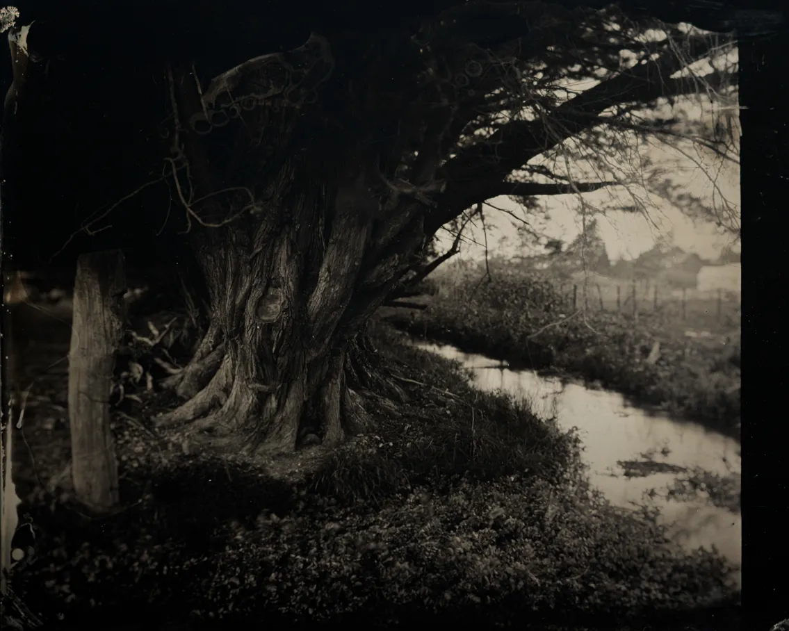 David Loughlin - Halide Studios Artists