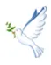 dove carrying an olive branch symbolizing peace and serenity for therapy intensives