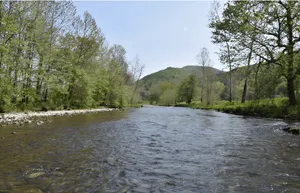 Pine Creek, Lycoming County, PA. One of the best trout fishing streams in the country for TF-EMDR Retreats