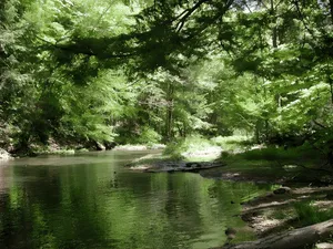 Young Woman's Creek, Clinton County, PA. One of the best trout fishing streams in the country for TF-EMDR Retreats