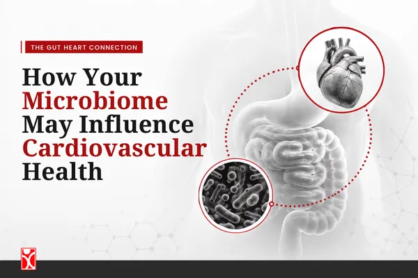 Microbiome x Cardiovascular Health