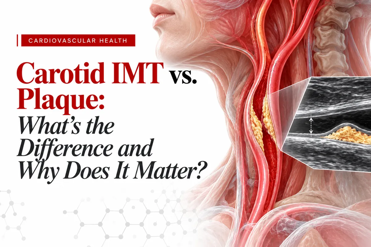 CIMT and Plaque