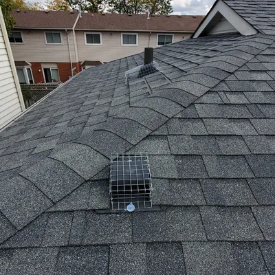 plumbing mat and vent protected from squirrels with mesh