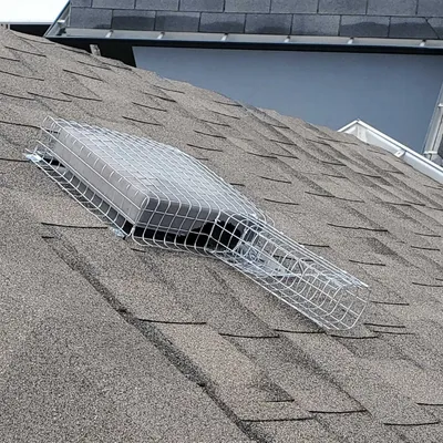 squirrel protection on roof vent