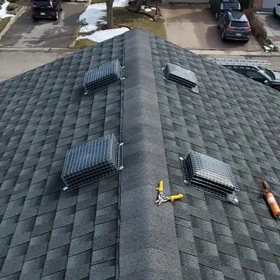vents on a roof that are protected from squirrel damage