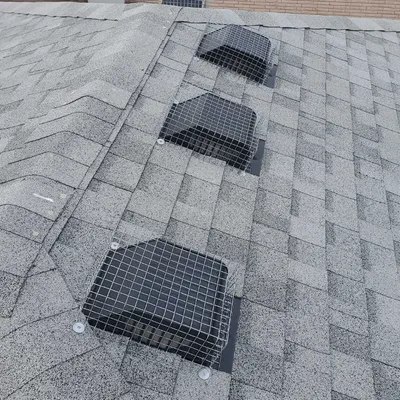 roof vent with mesh vent protectors