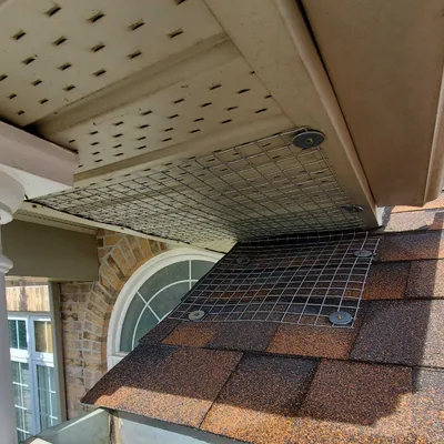 mesh installed on roofline to prevent wildlife