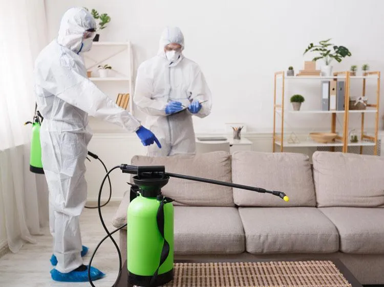 Sanitation & Disinfection Service