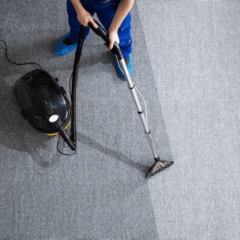 Carpet Cleaning, Atlanta Cleaning Services