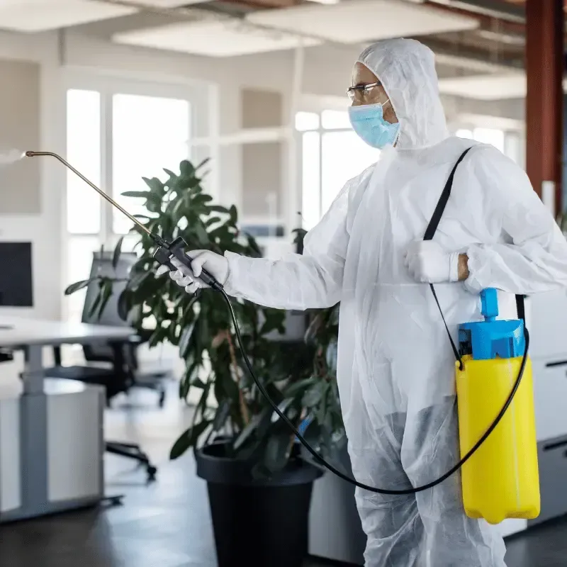 Disinfection Cleaning 