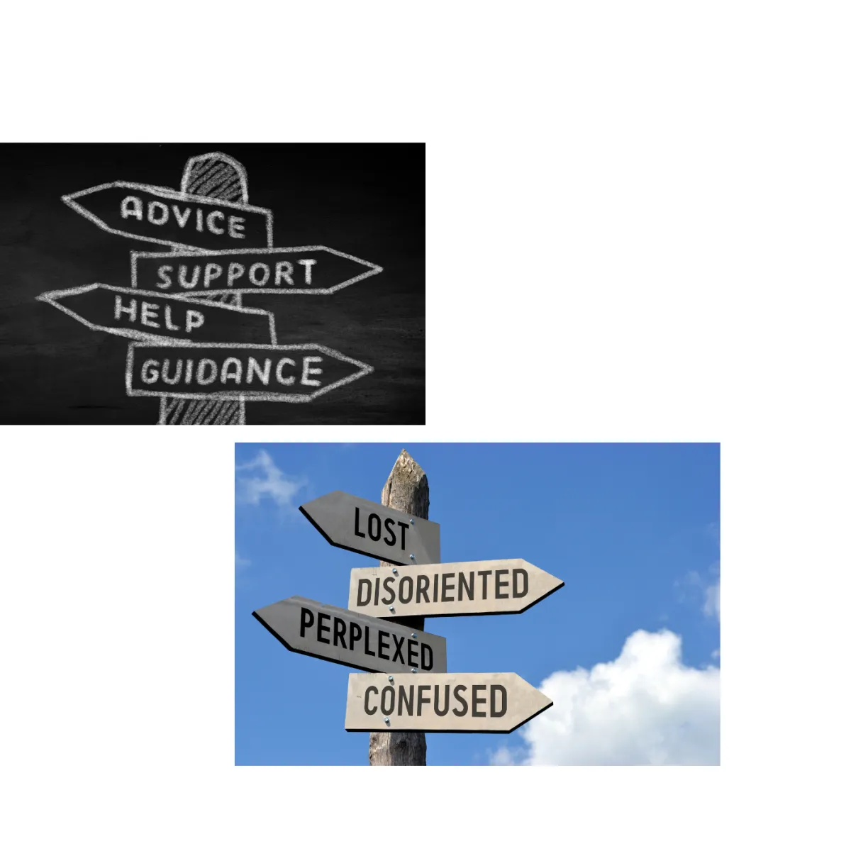 one voice evolving, kim brassor, the cove, shari dunn, racial equity, advocate