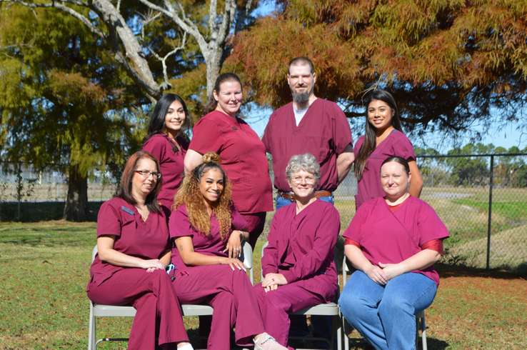 Veterinarian gently examining a colorful parrot in a calm clinic setting