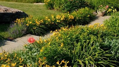  in Baltimore City, MD