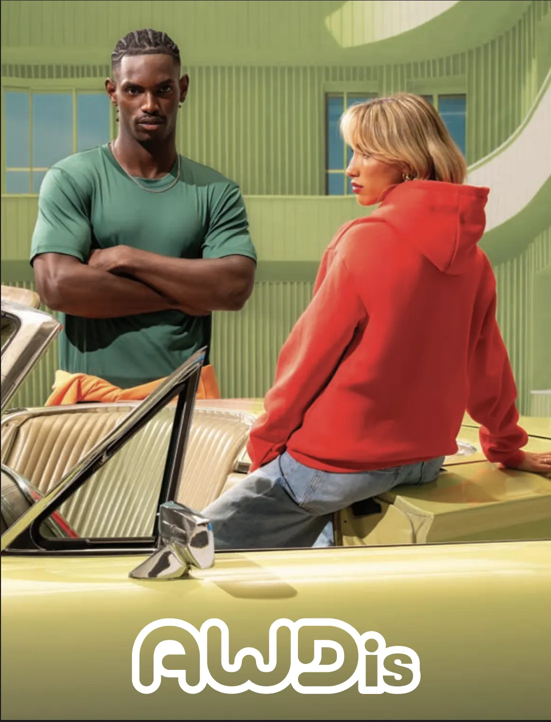 AWDIS BROCHURE