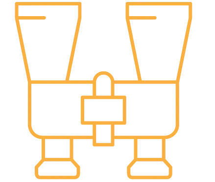 Strategic Clarity Icon