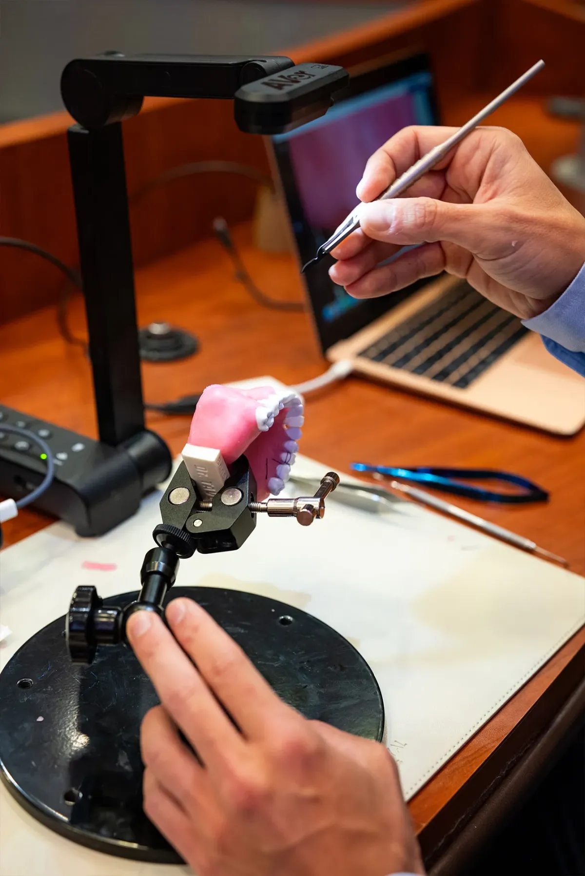 Close up of dental teaching tools