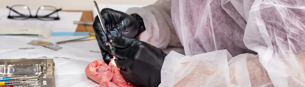 Soft Tissue Mini-Residency student in practice