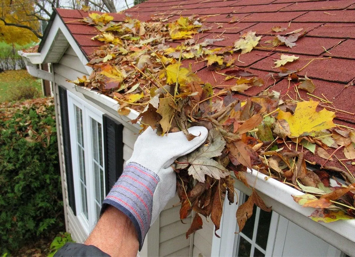 gutter cleaning with gloves