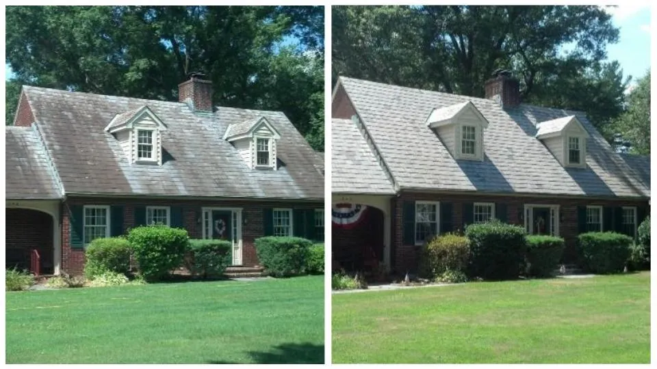 soft washed roof