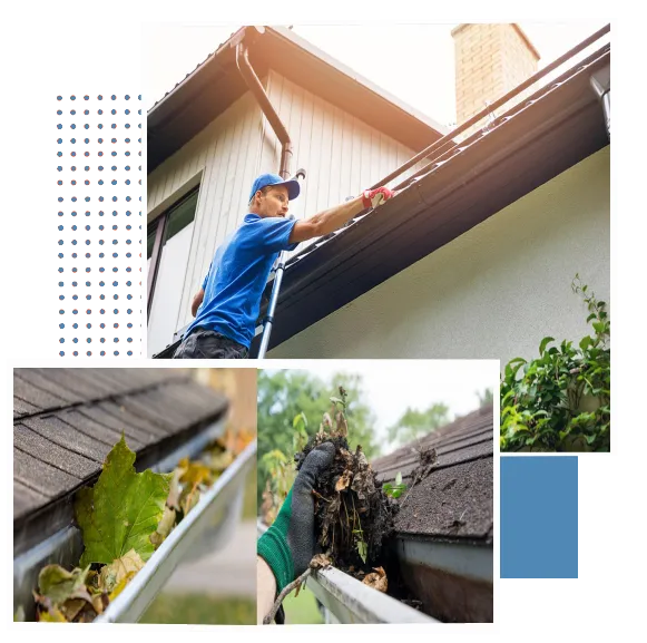 Gutter Cleaning