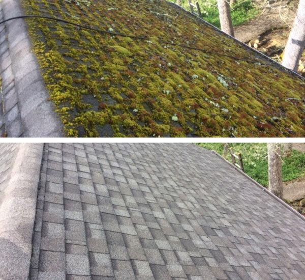 roof moss removal