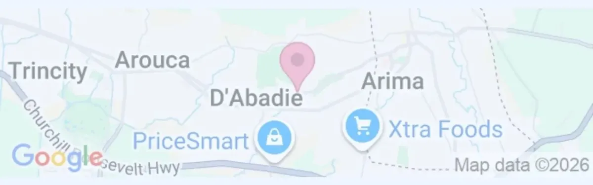 Dila's Pharmacy - Google Maps Preview & Google Business Profile 