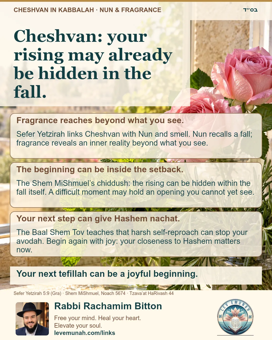 What does Cheshvan teach you about a setback?