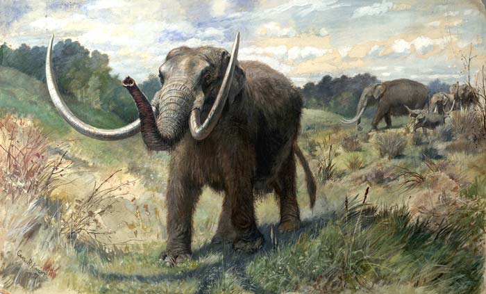 Charles Knight Mastodon