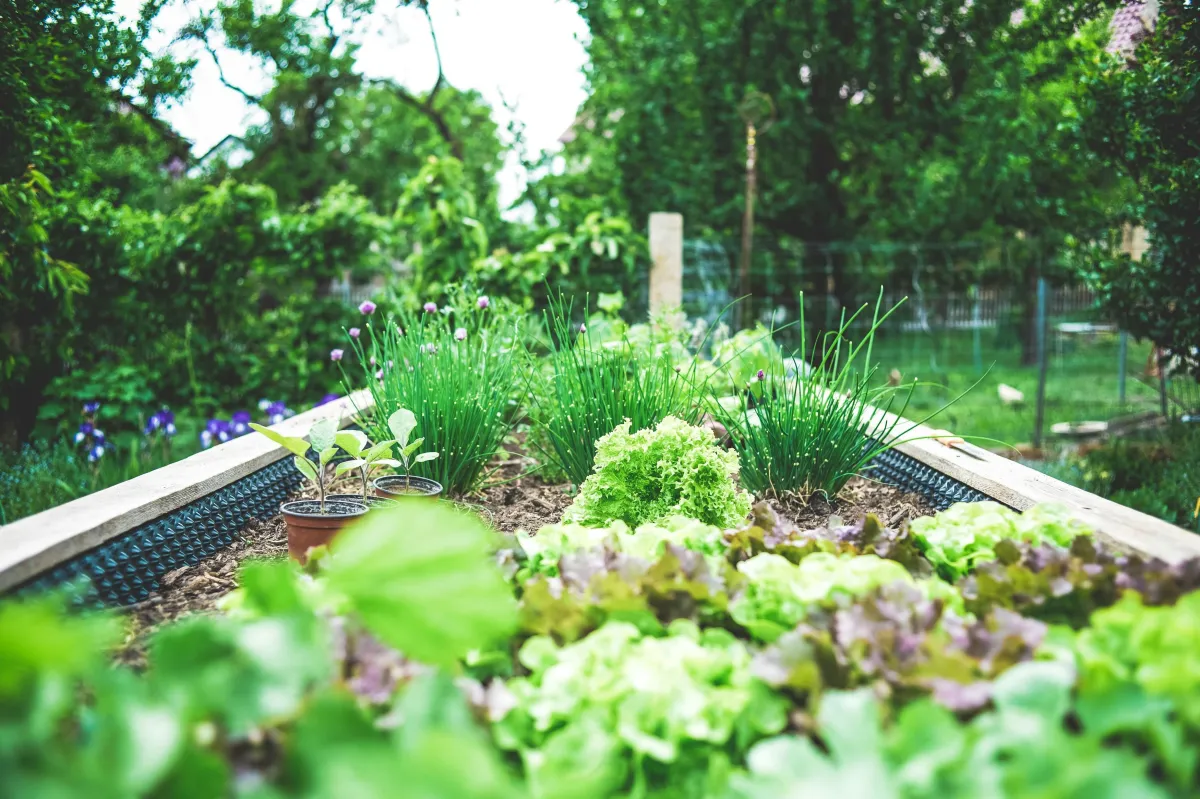 Spring Garden Tips That Boost Your Home's Value  