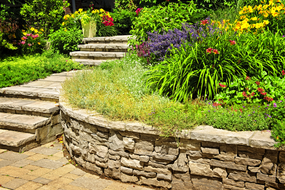 paving services in san jose