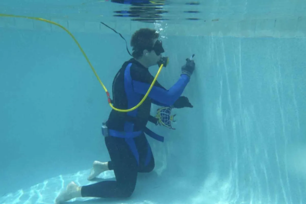 pool cleaning service