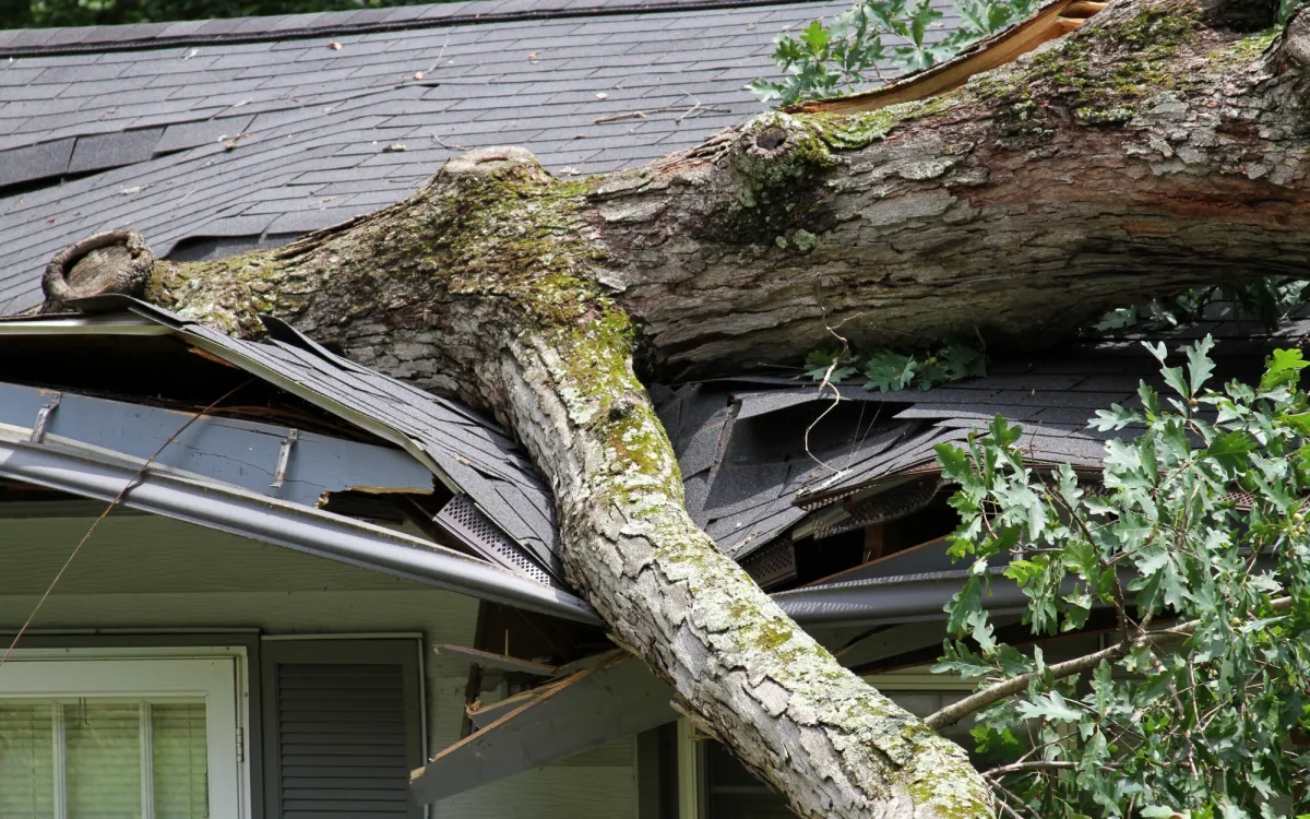 storm cleanup