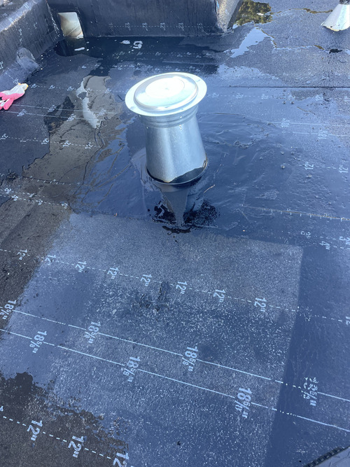 Shingle Roof Replacement San Francisco