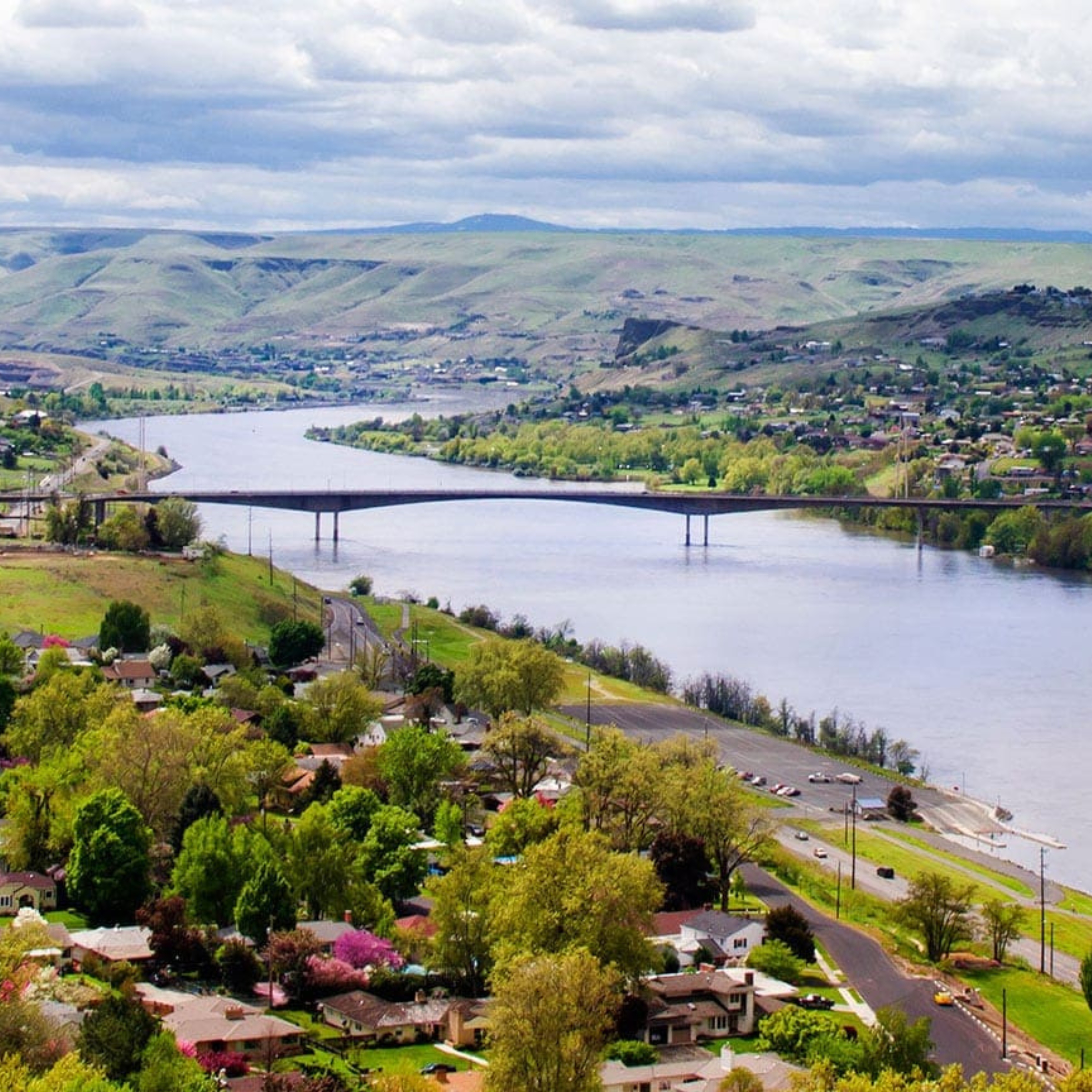 Jennifer Nelson-Douglass Portrait