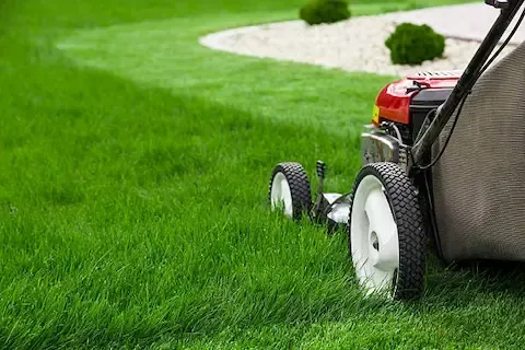 Lawn mowing and yard maintenance services by Sunnyvale Landscaping Pro