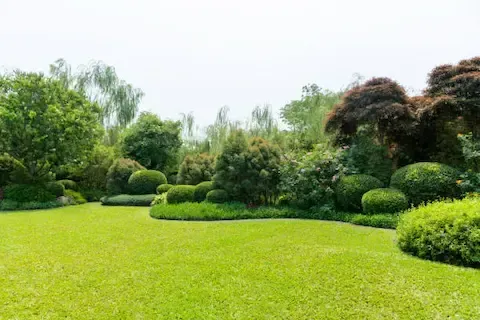 Landscaping services with manicured lawn and sculpted shrubs by Sunnyvale Landscaping Pro