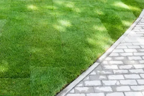 Sod installation with clean lawn edging along a stone walkway by Sunnyvale Landscaping Pro
