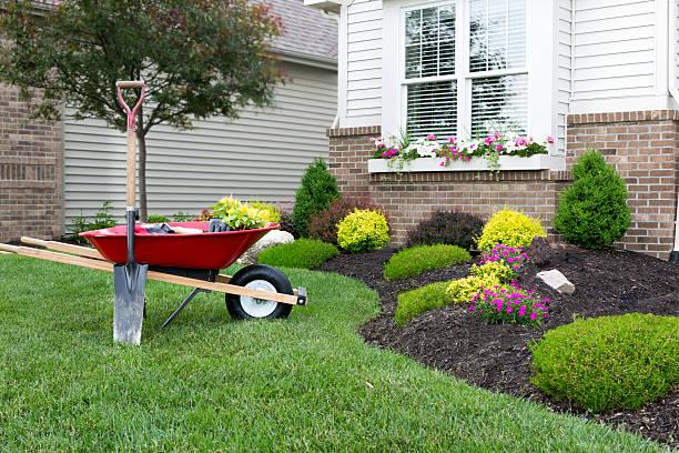 A finely manicured lawn with neatly trimmed bushes, a wheelbarrow, a shovel, colorful flowers in the mulch, and vibrant flowers on the window sill of a nearby home.