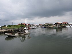 Bassin d'eau - Pisciniste - Gujan mestras