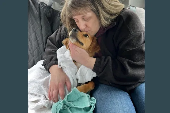 saving a sweet puppy