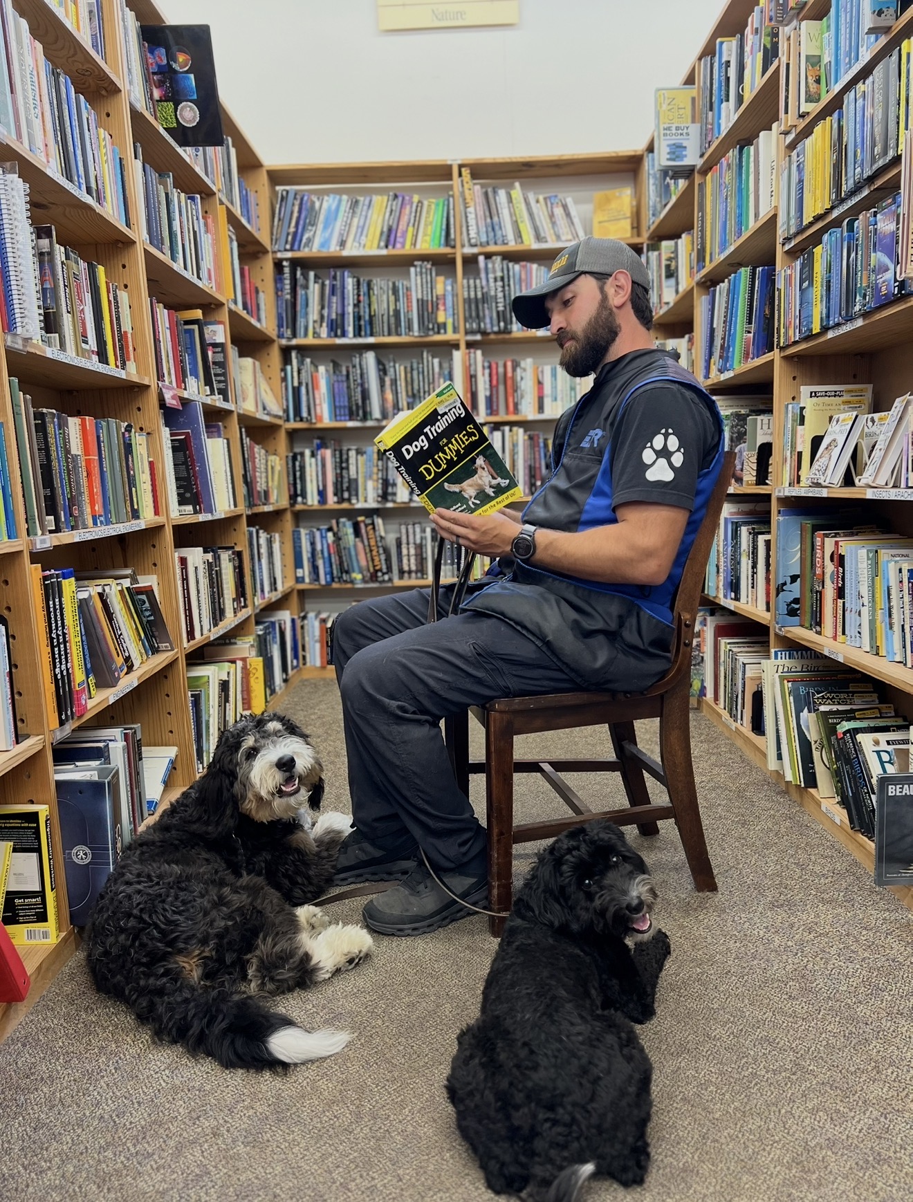 Structured board and train style obedience session with dog