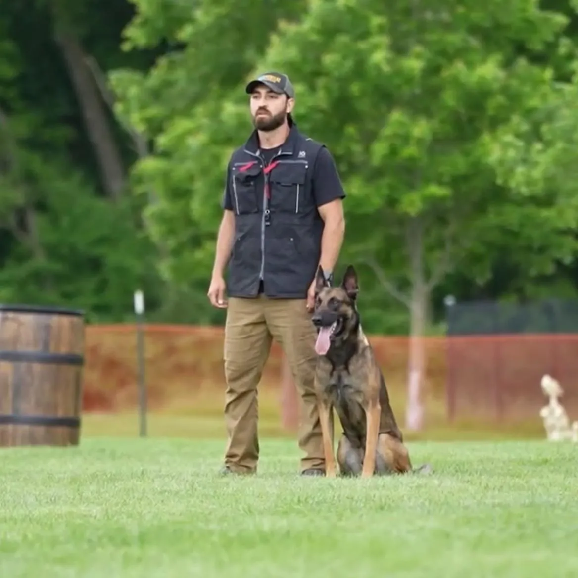 Structured dog training session with working breed dog