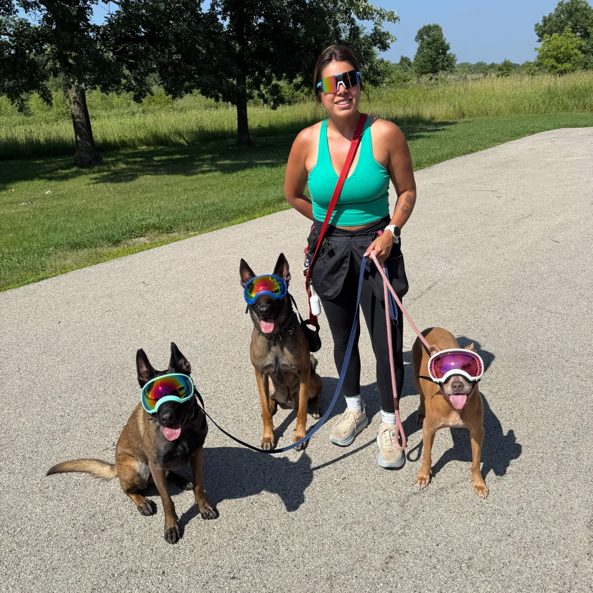 Private dog training session with family dog and trainer