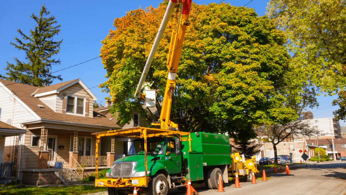 Tree Trimming