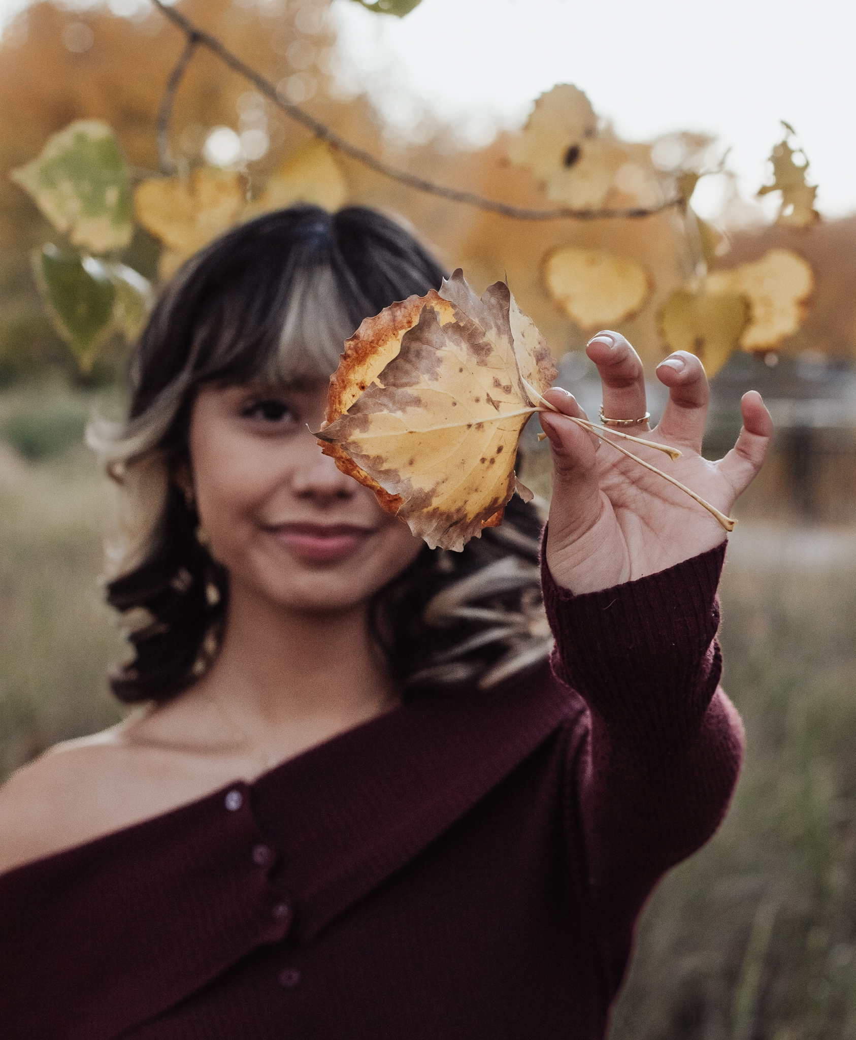 j shields photography