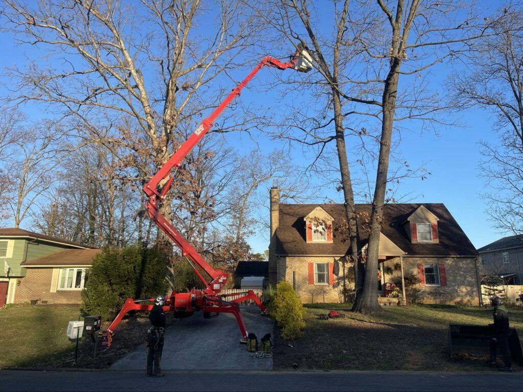 a crane hoisted high trimming branches in battle creek mi